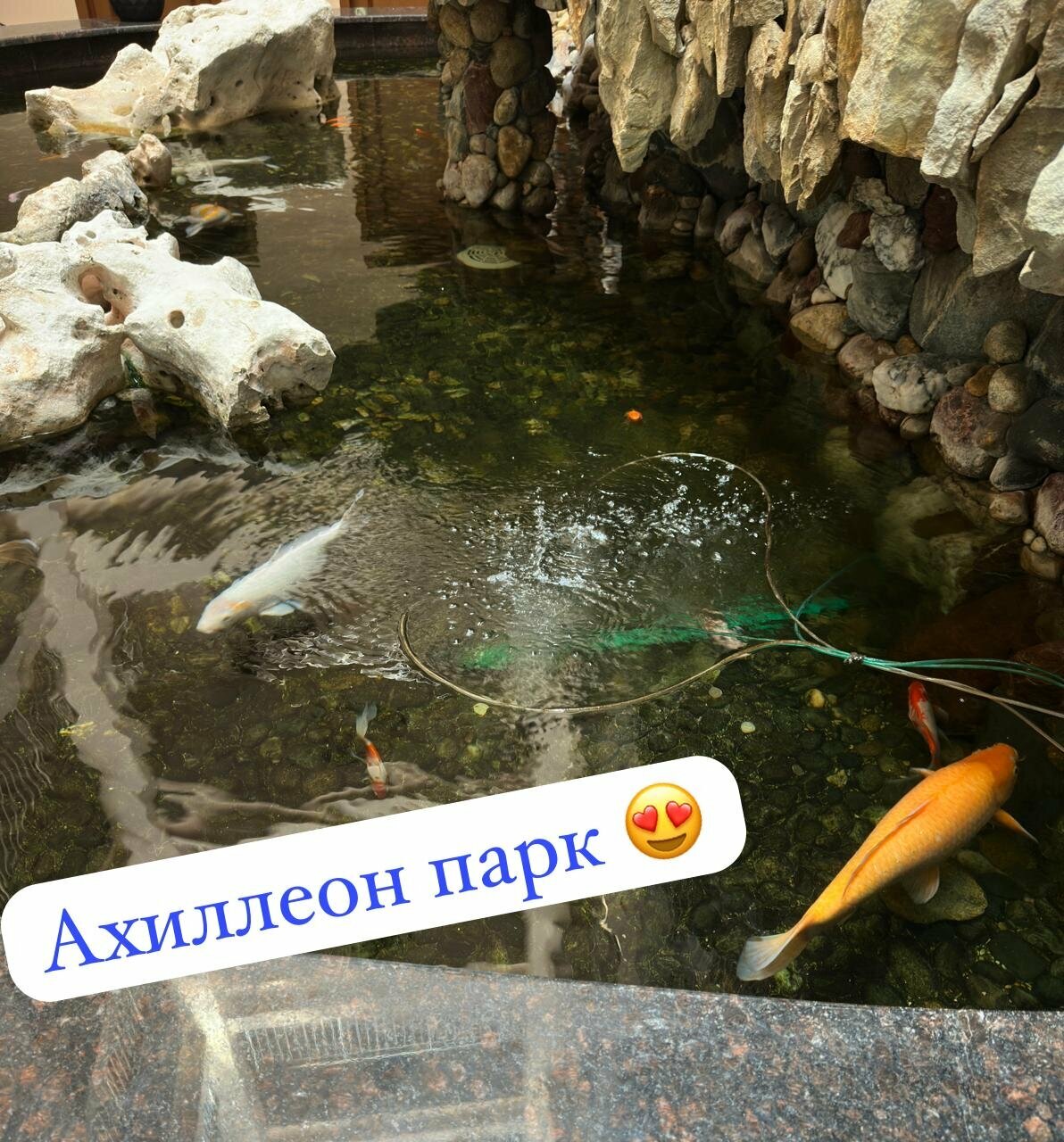 Гостиница Ахиллеон Парк Кабардинка-180